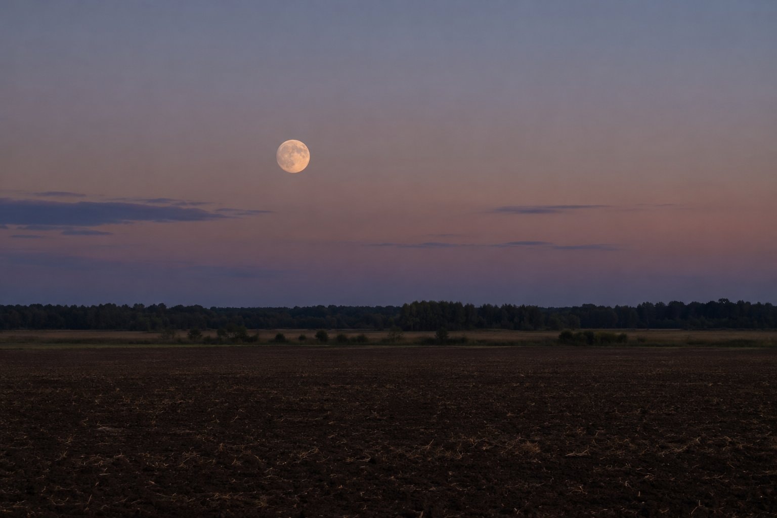 The Moon above flat fields and a distant tree line.