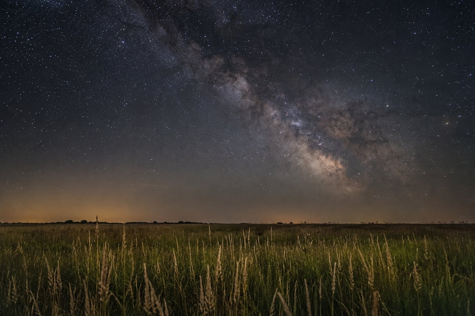Tall prairie grass beneath a band of Milky Way stars.